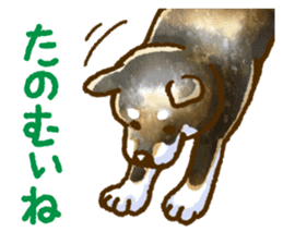 Niigata dialect speaking shibainu 2 sticker #14540868