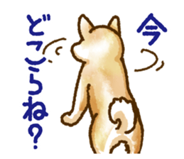Niigata dialect speaking shibainu 2 sticker #14540872