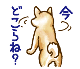 Niigata dialect speaking shibainu 2 sticker #14540872