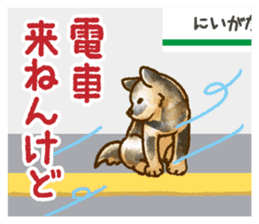 Niigata dialect speaking shibainu 2 sticker #14540873