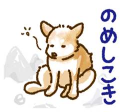 Niigata dialect speaking shibainu 2 sticker #14540876