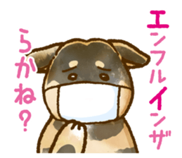 Niigata dialect speaking shibainu 2 sticker #14540877