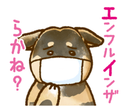 Niigata dialect speaking shibainu 2 sticker #14540877