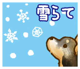 Niigata dialect speaking shibainu 2 sticker #14540880