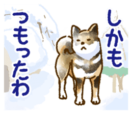 Niigata dialect speaking shibainu 2 sticker #14540882