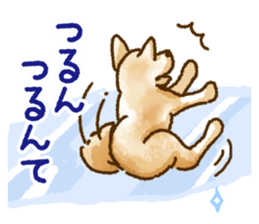 Niigata dialect speaking shibainu 2 sticker #14540888