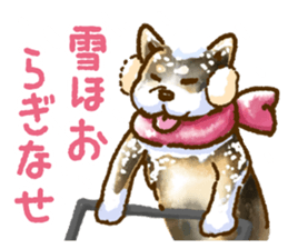Niigata dialect speaking shibainu 2 sticker #14540892
