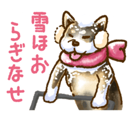 Niigata dialect speaking shibainu 2 sticker #14540892