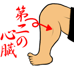 Muscles Muscles Man sticker #14541234