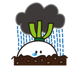 Brother Radish & Clever Peter sticker #14541473