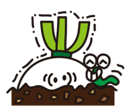 Brother Radish & Clever Peter sticker #14541477