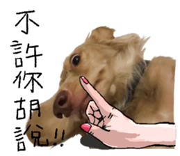 dooooog vol.2 sticker #14541654