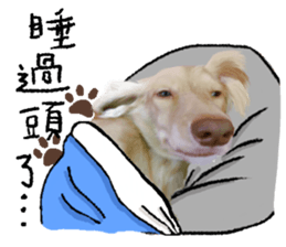 dooooog vol.2 sticker #14541656