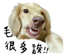 dooooog vol.2 sticker #14541657