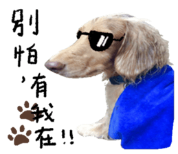 dooooog vol.2 sticker #14541658