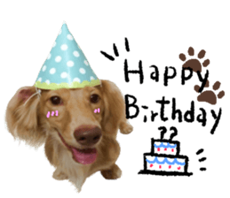 dooooog vol.2 sticker #14541659