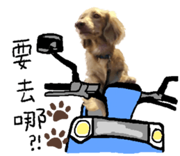 dooooog vol.2 sticker #14541660