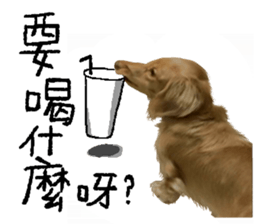 dooooog vol.2 sticker #14541662