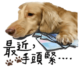 dooooog vol.2 sticker #14541663