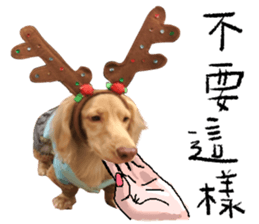 dooooog vol.2 sticker #14541664