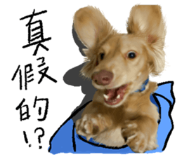 dooooog vol.2 sticker #14541665