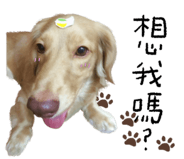 dooooog vol.2 sticker #14541666