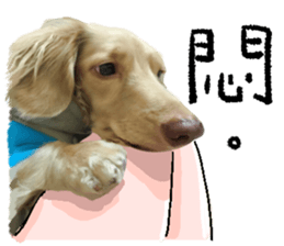 dooooog vol.2 sticker #14541668