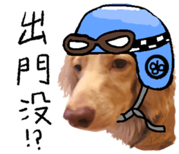 dooooog vol.2 sticker #14541669