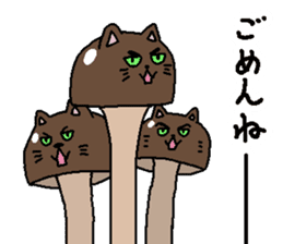 Stickers of Cat-shroom sticker #14542529