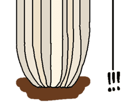 Stickers of Cat-shroom sticker #14542534