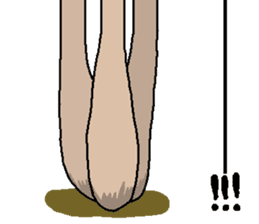 Stickers of Cat-shroom sticker #14542537