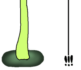 Stickers of Cat-shroom sticker #14542549