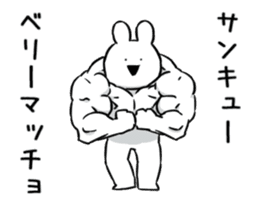 Extremely Rabbit&Cat Animated sticker #14542553