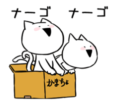 Extremely Rabbit&Cat Animated sticker #14542558