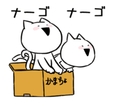 Extremely Rabbit&Cat Animated sticker #14542558