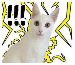 Phoebe and her cats. sticker #14542752