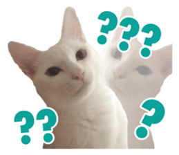 Phoebe and her cats. sticker #14542754