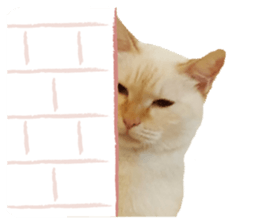 Phoebe and her cats. sticker #14542756