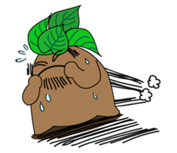 Extrem Obese Ginseng sticker #14543655