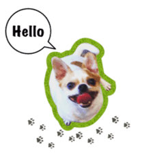 Doggy Dobby sticker #14546774