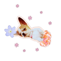 Doggy Dobby sticker #14546776