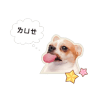 Doggy Dobby sticker #14546788