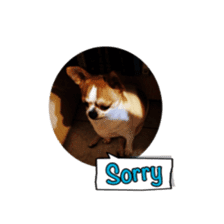 Doggy Dobby sticker #14546789