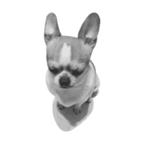 Doggy Dobby sticker #14546797