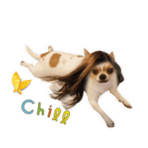Doggy Dobby sticker #14546802