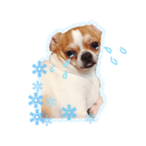 Doggy Dobby sticker #14546811