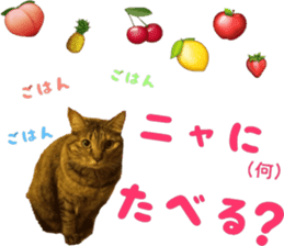 i love cats. yokoisan ver sticker #14549219