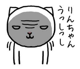 Rinchan cat sticker #14549446