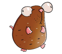 I was a rat sticker #14549674