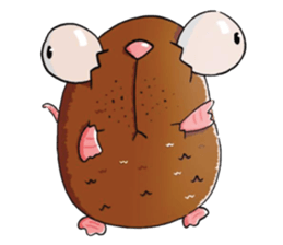 I was a rat sticker #14549681